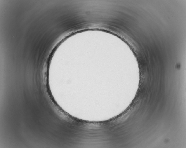 X0000116621126201001221334