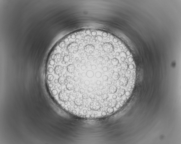 X0000116621130201001221334