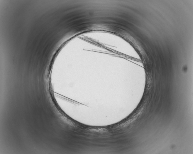 X0000116621133201001221334