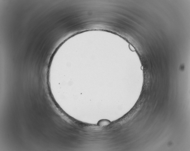 X0000116621134201001221334