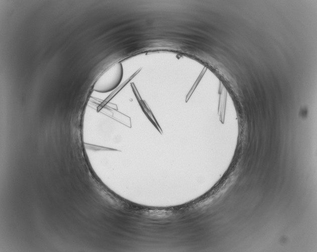 X0000116621137201001221334