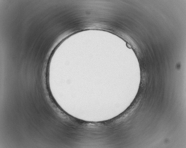 X0000116621138201001221334