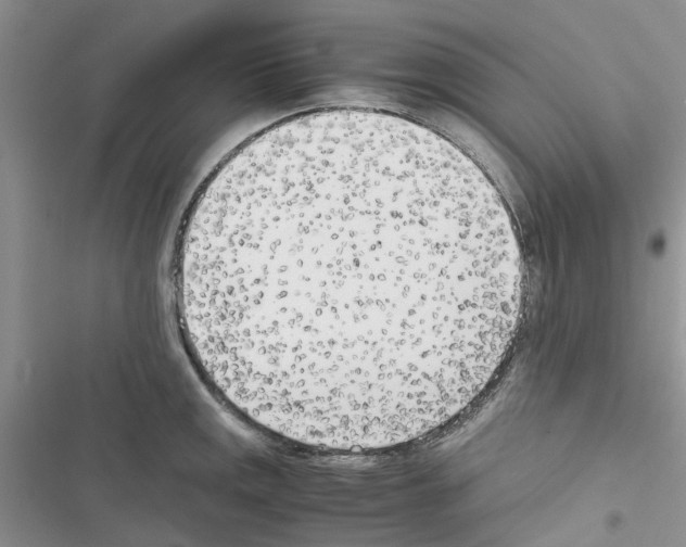 X0000116621141201001221334