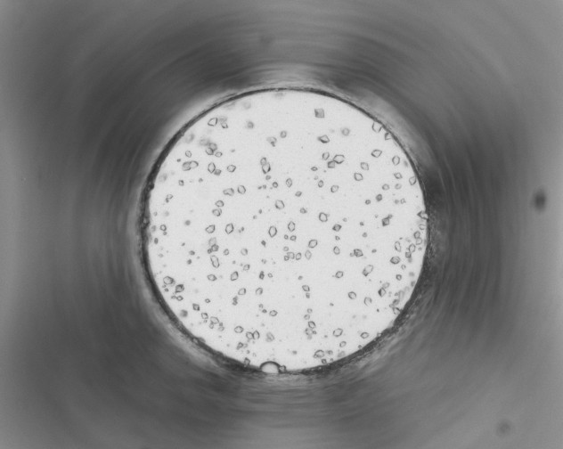X0000116621142201001221334