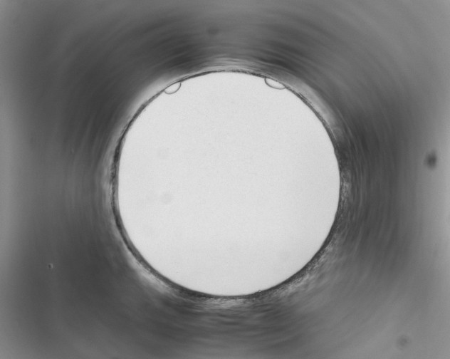 X0000116621143201001221334