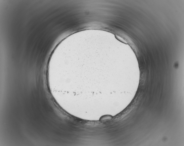 X0000116621146201001221334