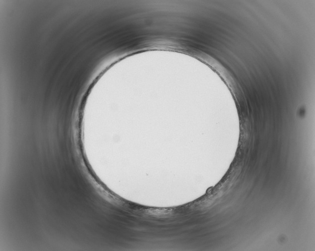 X0000116621147201001221334