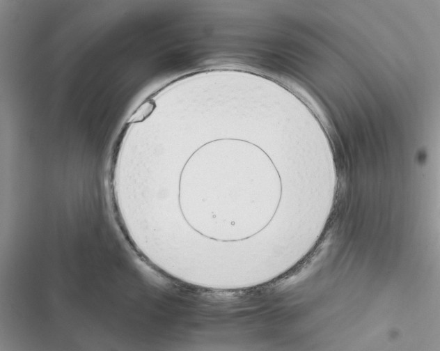 X0000116621149201001221334