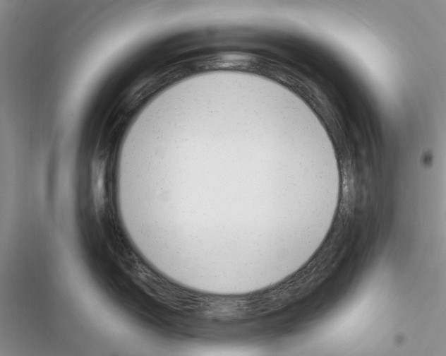X0000116621150201001221334