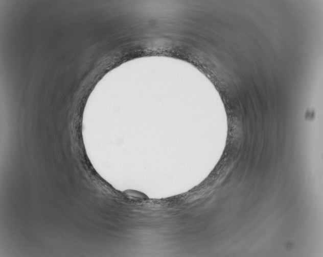X0000116621153201001221334
