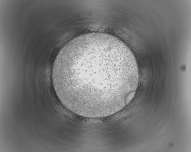 X0000116621154201001221334