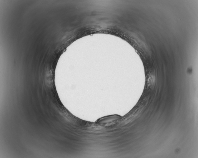 X0000116621156201001221334