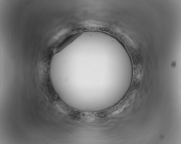 X0000116621157201001221334