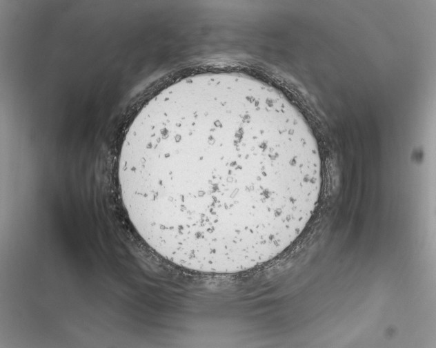 X0000116621158201001221334