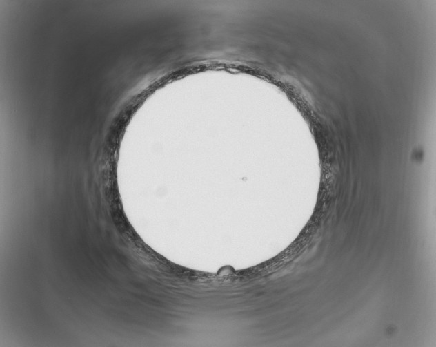 X0000116621159201001221334