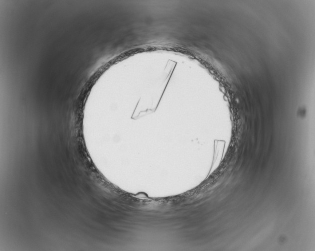 X0000116621160201001221334
