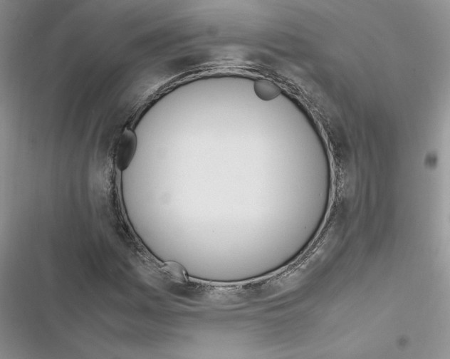 X0000116621161201001221334