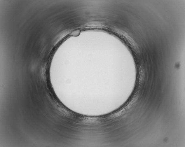 X0000116621162201001221334