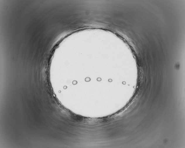 X0000116621163201001221334