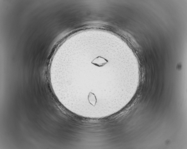 X0000116621164201001221334