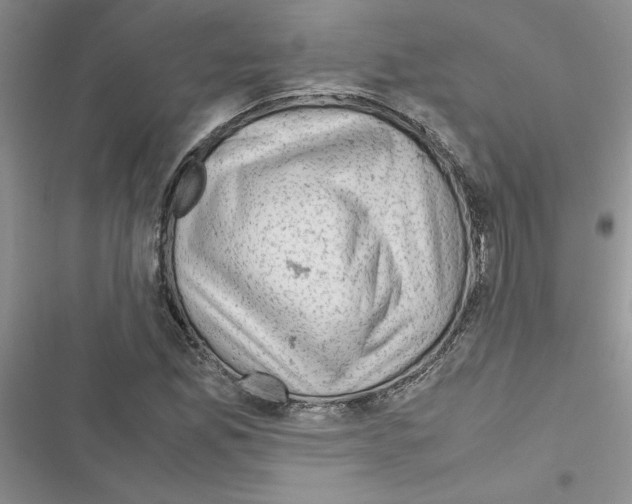 X0000116621165201001221334