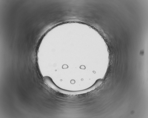 X0000116621167201001221334