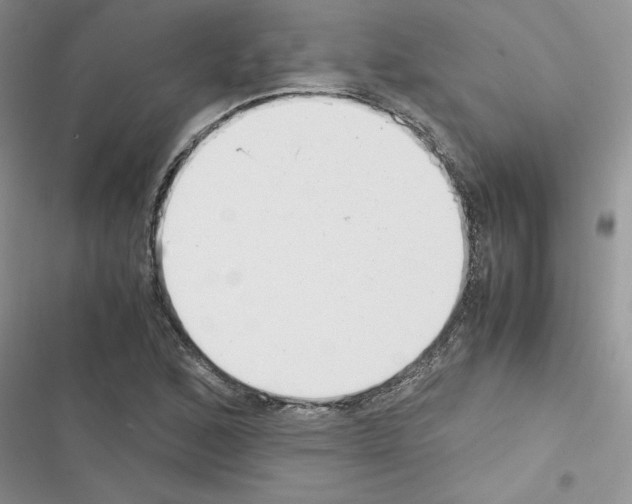 X0000116621168201001221333