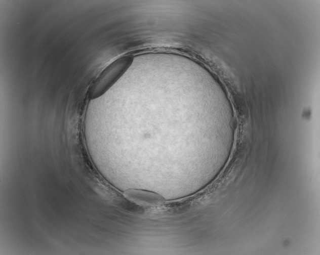 X0000116621169201001221333