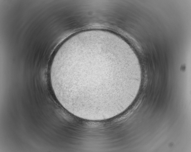 X0000116621170201001221333