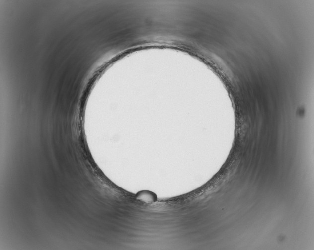 X0000116621172201001221333