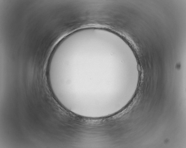 X0000116621173201001221333