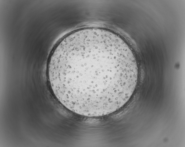 X0000116621174201001221333