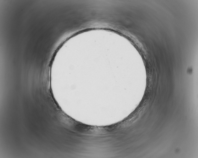 X0000116621175201001221333