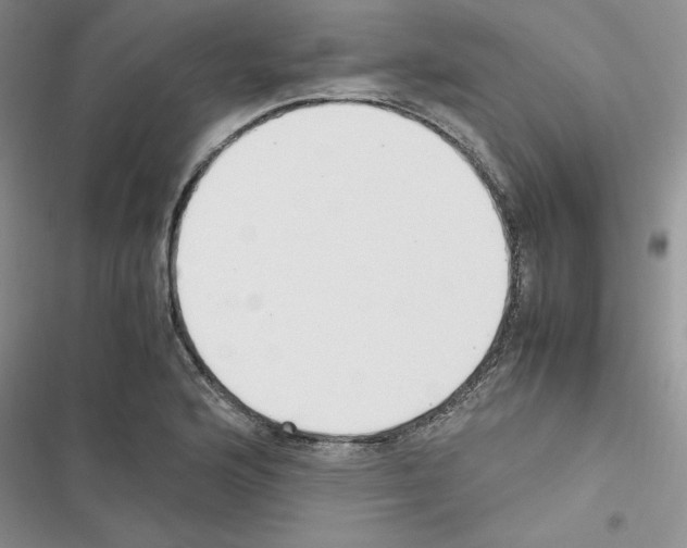 X0000116621176201001221333