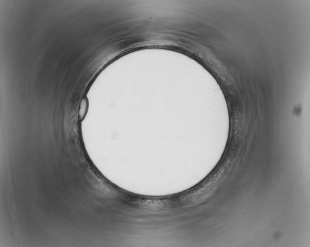 X0000116621177201001221333