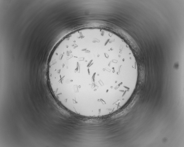 X0000116621178201001221333