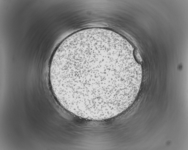 X0000116621179201001221333