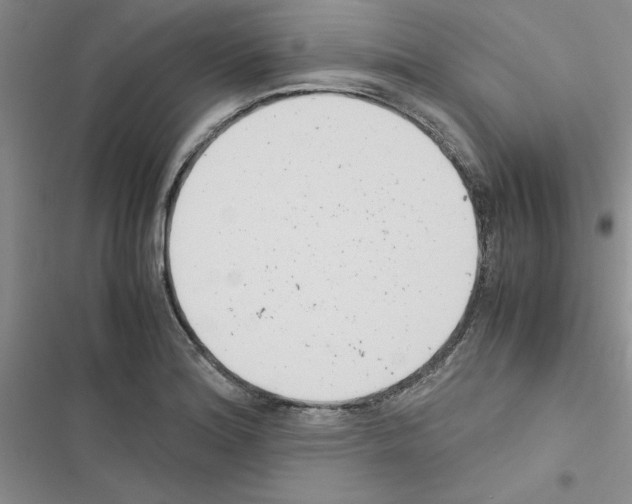 X0000116621180201001221333