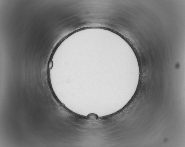 X0000116621181201001221333