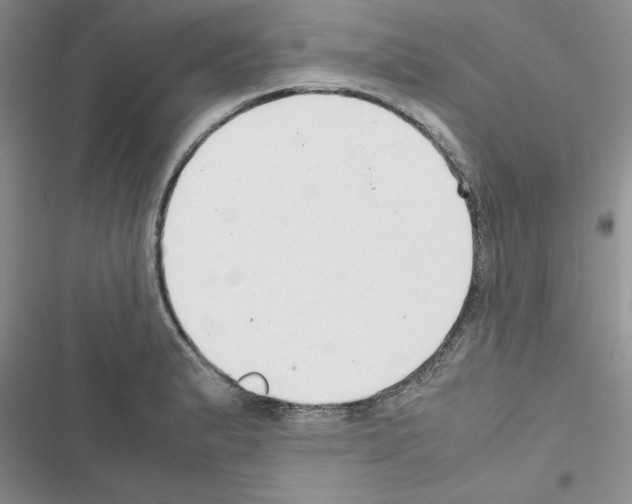 X0000116621183201001221333