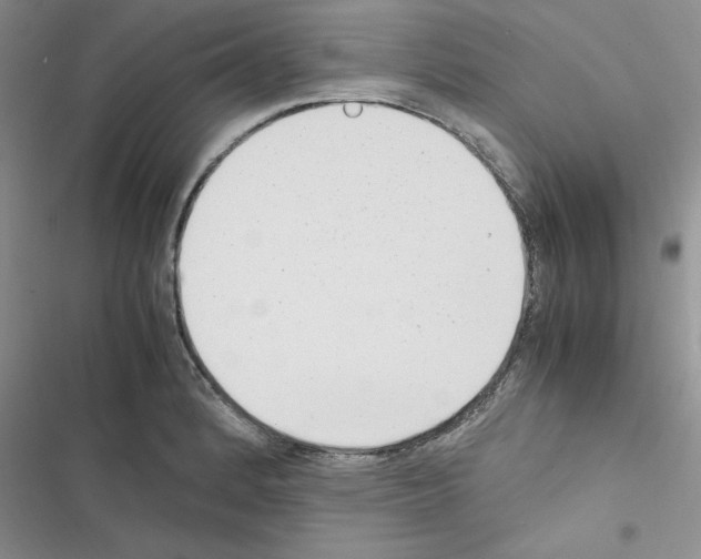X0000116621184201001221333