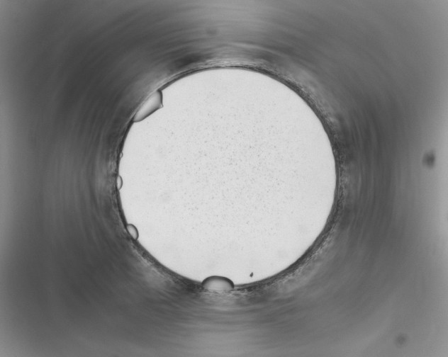 X0000116621185201001221333