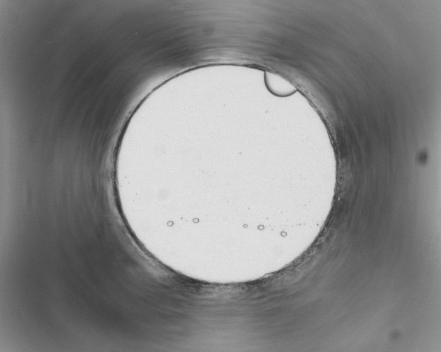X0000116621187201001221333
