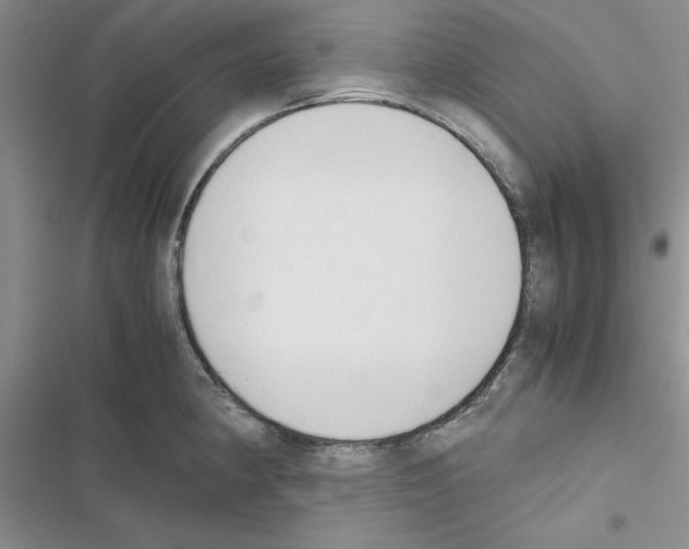 X0000116621190201001221333