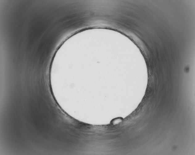 X0000116621191201001221333