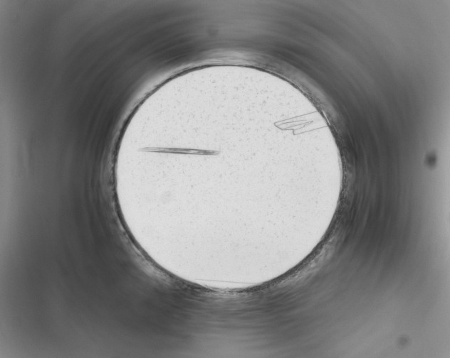 X0000116621192201001221333