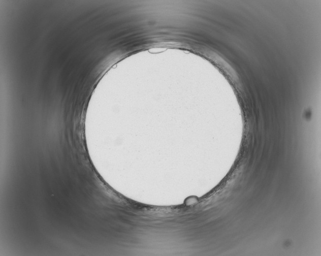 X0000116621193201001221333