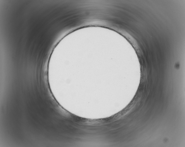 X0000116621199201001221333