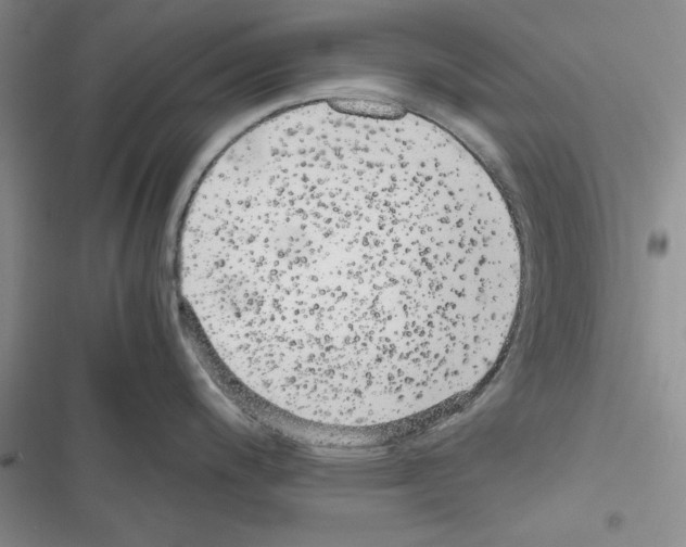 X0000116621200201001221333