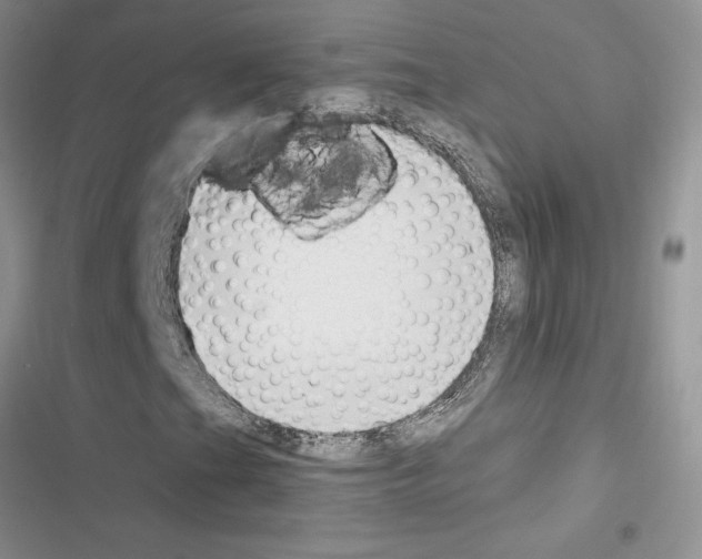 X0000116621201201001221332